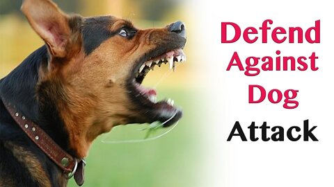 How to defend against a dog. Self defense against dog attack with few simple tricks