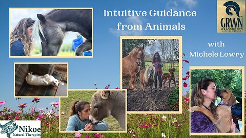 Intuitive Guidance From Animals