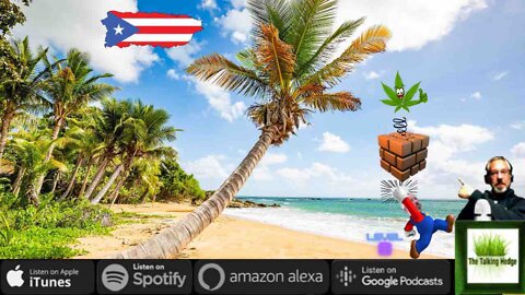 How to Start a Cannabis Businesses: Island of Opportunities in Puerto Rico
