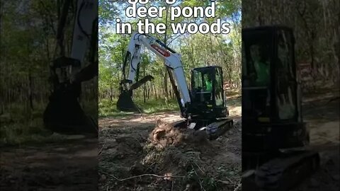 #shortsvideo Building a big deer pond in the woods!