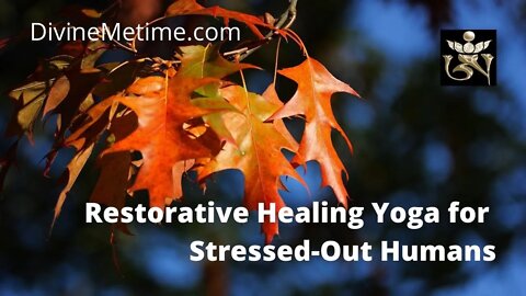 Divine Metime Restorative Healing Yoga for Stressed Out Humans - Healing w/ Our Ancestors