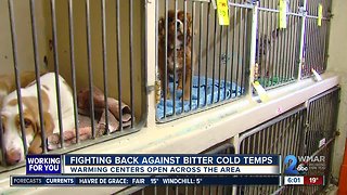 Local veterinarian takes in pets of homeless during bitter cold temps