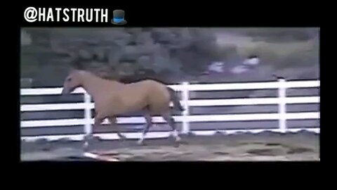 FLORIDE kills Horses but it's Fine for Human Consumption?