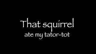 That squirrel ate my tator-tot