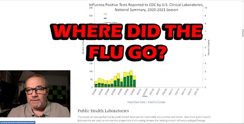 What Really Did Happen To The Flu?