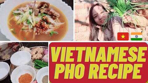 Vietnam Pho Recipe 2022 | Vietnam Pho 🍜 Noodles | Pho Goat Soup Recipe