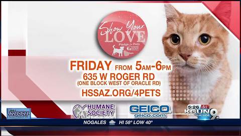 HSSA "Pledge For Pets" drive, presented by GEICO