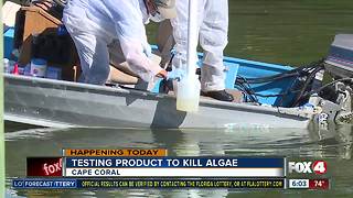 Company tests product to try to kill algae in Cape Coral