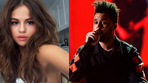 The Weeknd Is PISSED That He Almost Gave A Kidney To Selena Gomez!