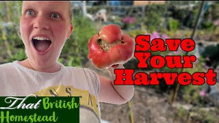 7 Ways To Save Your HARVEST: Allotment Garden