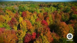 Fall colors in southeast Michigan