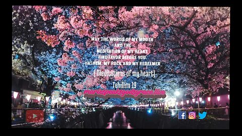 I shall lack nothing. Tehillim 23 #meditation #of #my #heart