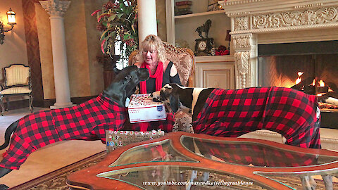 Plaid Pajama Clad Great Dane Kids Enjoy Christmas Gift Fun
