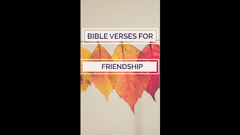 scriptures for friendship part 2 shorts