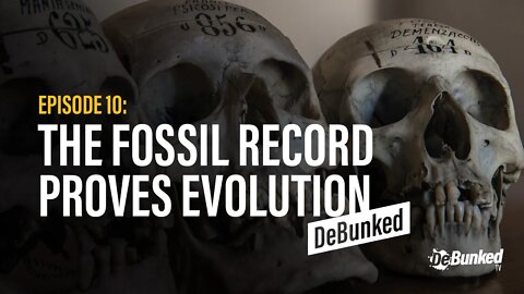 DTV Episode 10: The Fossil Record Proves Evolution - DeBunked