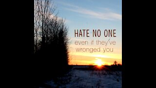 Hate No One [GMG Originals]