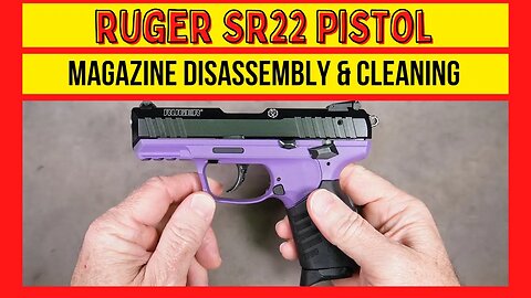 Ruger SR22 Magazine Cleaning Disassembly & Inspection