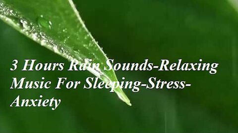 3 Hours Rain Sounds-Relaxing Music For Sleeping-Stress-Anxiety