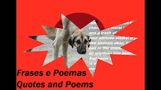 Hitting on an animal, makes you a person without character! [Quotes and Poems]
