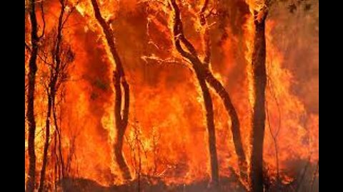Over 21,000 Wildland Fires In US In 2022