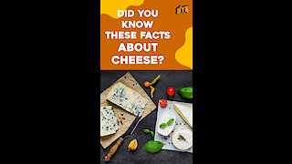 Why Is Cheese So Special?