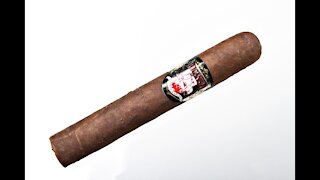 Bucanero Classico Maduro Robusto 10 Year Aged Cigar Review
