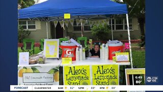 Pinellas County sisters hope to raise thousands for pediatric cancer with virtual lemonade stand