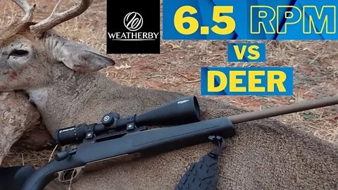 6.5 Weatherby RPM vs Deer [Very Impressed]