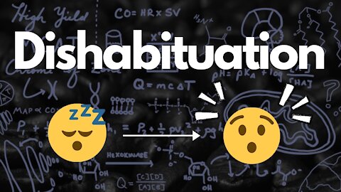 Dishabituation (Surprisingly Important!) | MCAT 2021