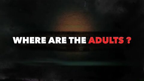 WHERE ARE ALL THE ADULTS ?
