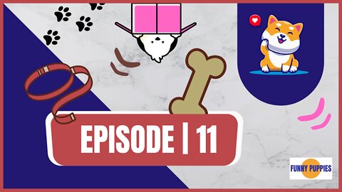 Funny Puppies 🐶 | EP.11