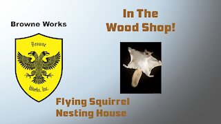 Building a Flying Squirrel Nesting House