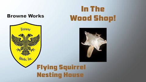 Building a Flying Squirrel Nesting House