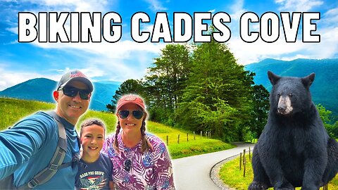 Searching For Cades Cove Black Bears While Biking In The Great Smoky Mountain National Park