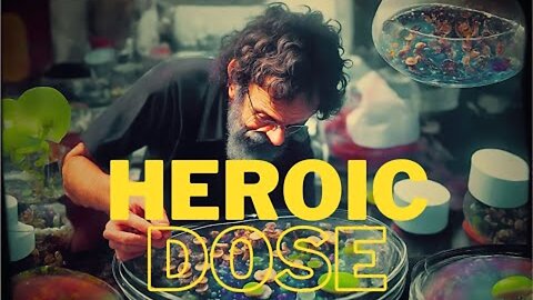 Terrence McKenna and the Heroic Psychedelic Mushroom Dose