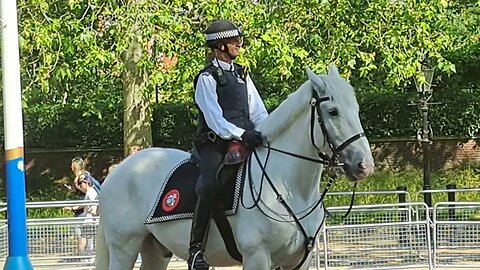 Met police officers on horseback pose for phot shoot the mall trooping the colour #metpolice