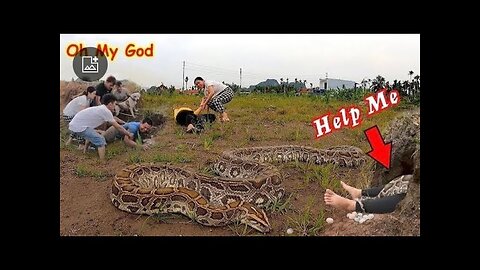 6 Brave Hunters With Pitbull Dog Confront 2 Giant Ferocious Pythons To Save The Girl, Wild Hunter TV