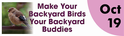 Make your Backyard Birds Your Backyard Buddies and a Talk from Tom Hagedorn