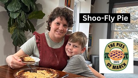 Mennonite Shoo-Fly Pie