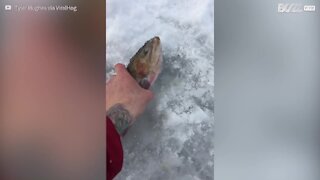 À 2 ans, cette fillette découvre la pêche sur la glace