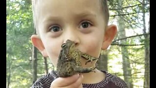 Ce petit garçon adore les grenouilles