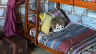 Mãe cria quarto temático de Harry Potter para os filhos