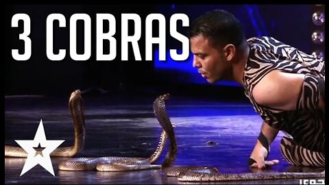 Snake Charmer With 3 Cobras Scares Off The Judges | Got Talent Global