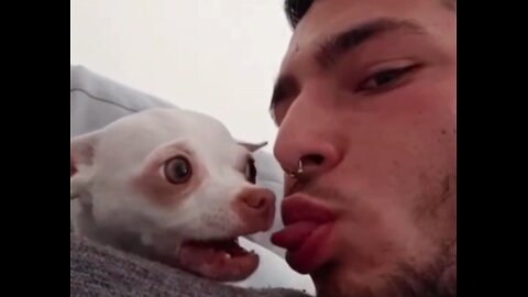 Hilarious Reactions of Dogs to Owner Kisses 😂🐶