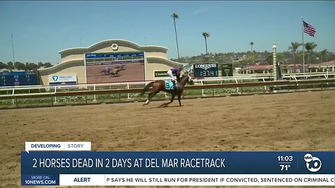 2 horses die at Del Mar Racetrack, first deaths of summer racing season