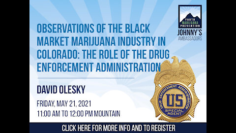 Observations of the Black Market Marijuana Industry in Colorado