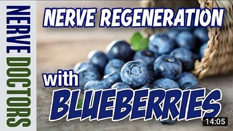 Nerve Regeneration Made Easy With Blueberries - The Nerve Doctors