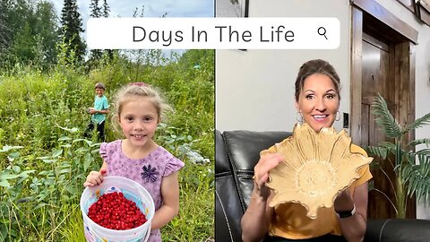 Days In The Life In Alaska / Foraging For Wild Berries / Preserving / Thrift Haul / Fun Announcement