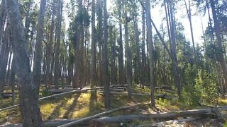 Hiking a trail in Yellowstone