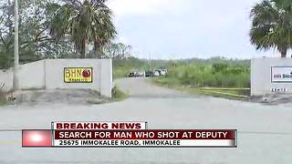 Gunman in custody after deputy shot at overnight in Collier County